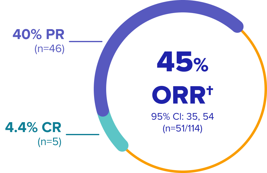 45% ORR† 95%CI:35, 54 (=51/114),  40% PR (n=46), 4.4%CR(=5)